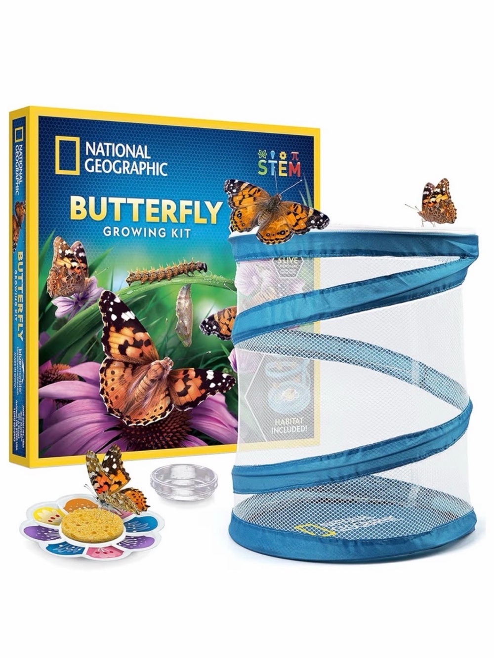 National Geographic Butterfly Growing Kit - Blue and Yellow Packaging